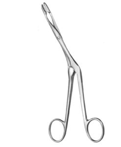 l_size_5071